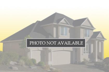 2115 Carmenere St , 40998382, DANVILLE, Single-Family Home,  for sale, World Premier Realty WPR & American Home Loans AHL